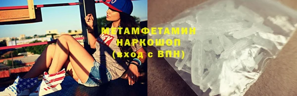 сатива Аркадак