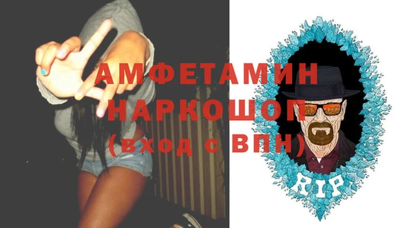 сатива Аркадак