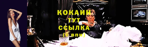 сатива Аркадак