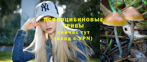 первитин Армянск