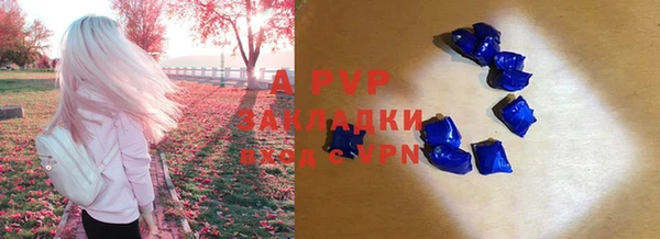 сатива Аркадак