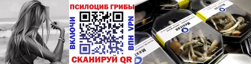 Галлюциногенные грибы прущие грибы  Купить закладки  Новоульяновск 