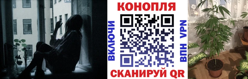 Каннабис индика  Купить закладки  Новоульяновск 